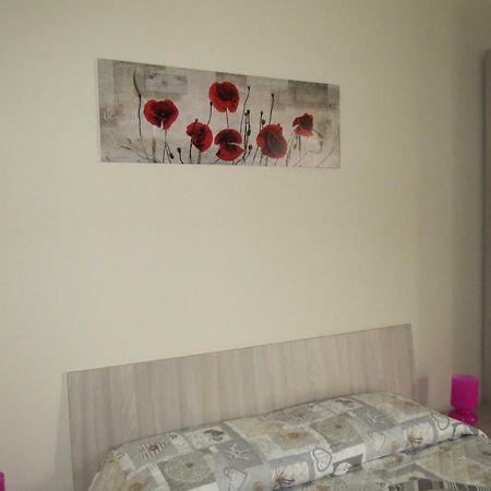 Cristallo Camere Alba  Exterior photo